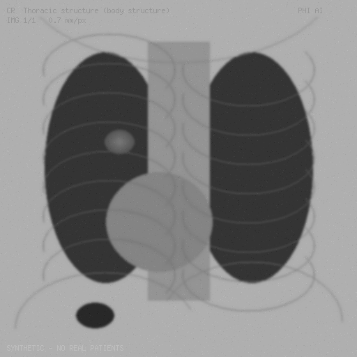 synthetic CR preview