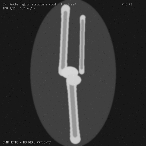 Synthetic DX frame, slice 1 of 2